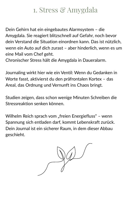 Impulsseite zu Stress und Amygdala